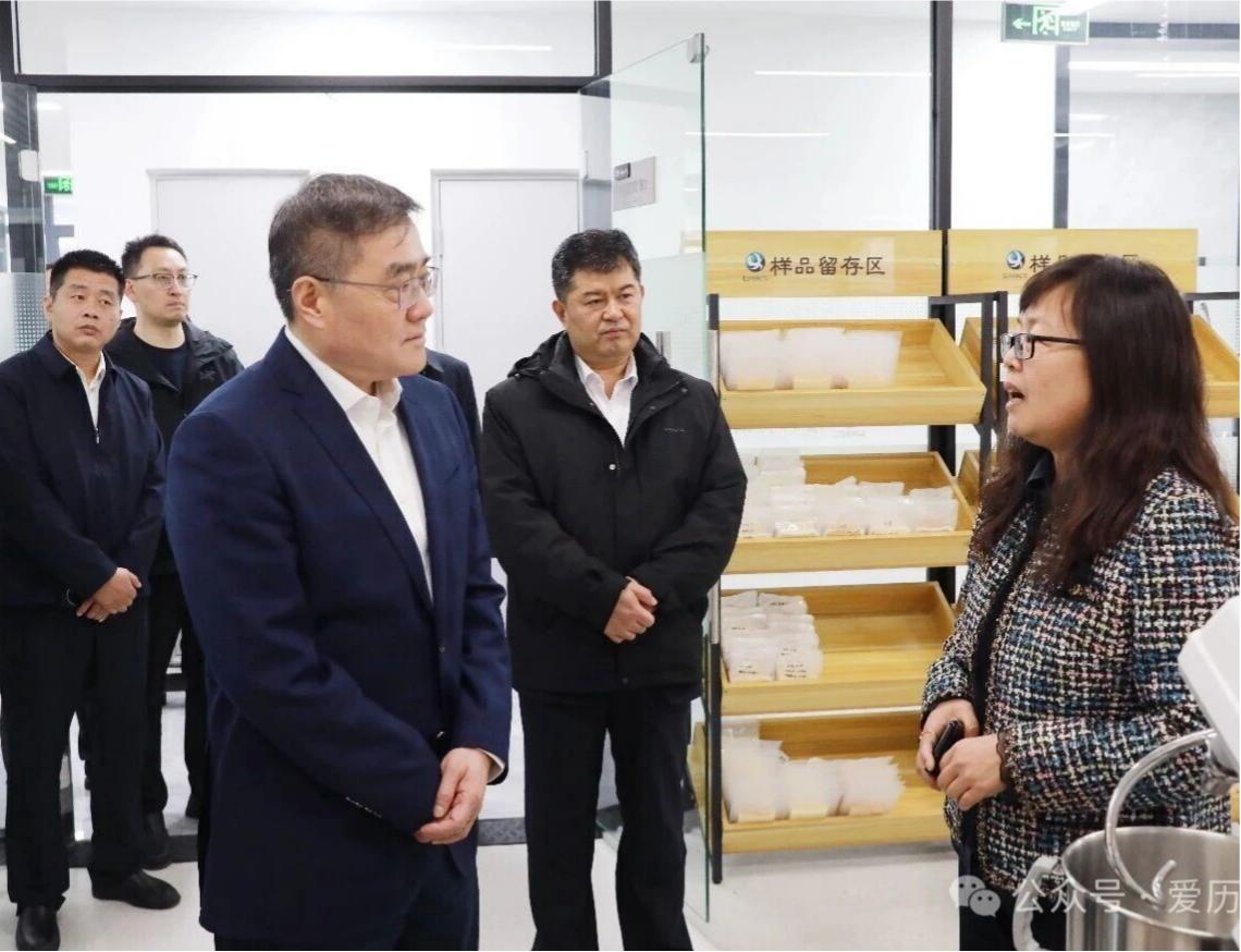 区领导到重点项目调研