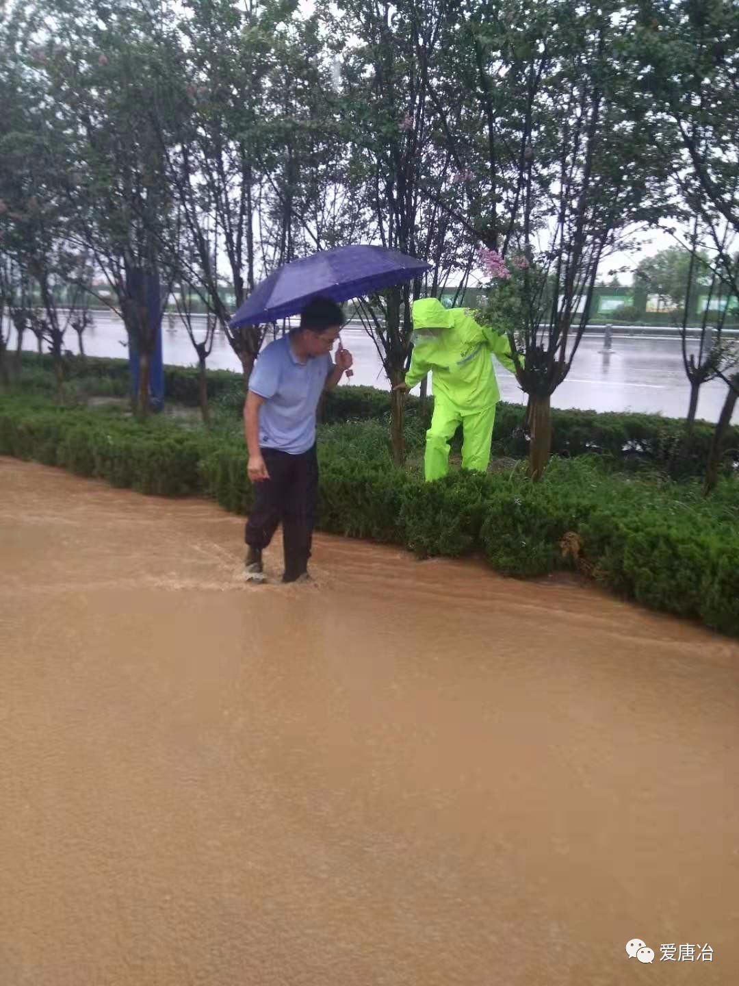 唐冶村人口_绯村剑心真人(2)